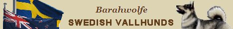 Swedish Vallhunds